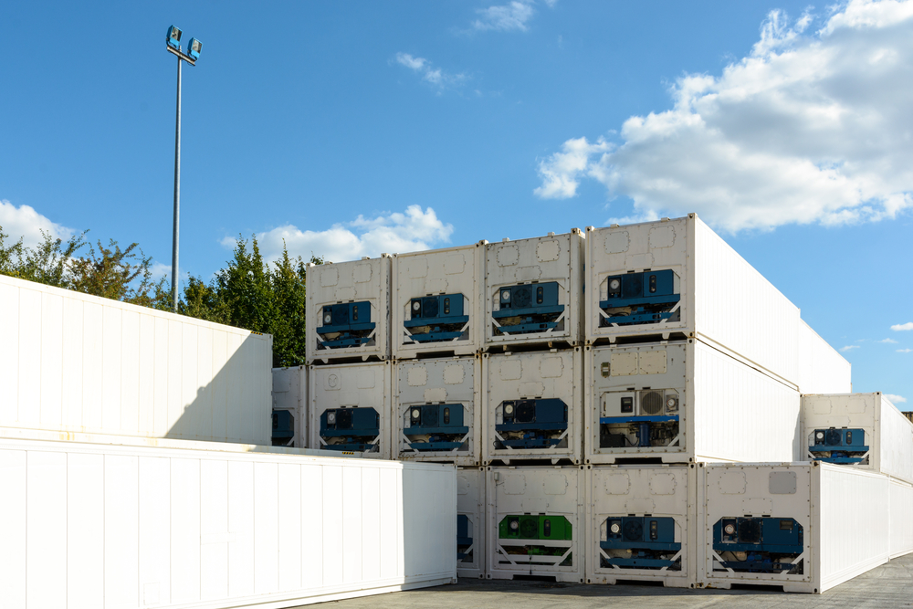 Expert Tips on Refrigerated Container Rental: What to Look For
