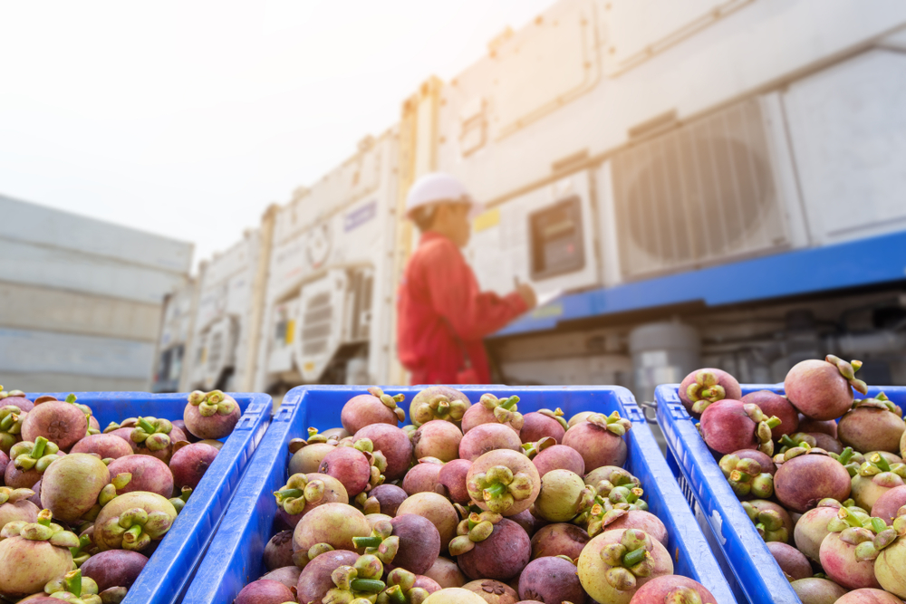 Common Reefer Container Issues and Easy Maintenance Solutions