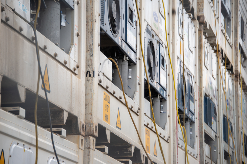 2026 Seasonal Storage Solutions: How Refrigerated Containers Help Meet Demand